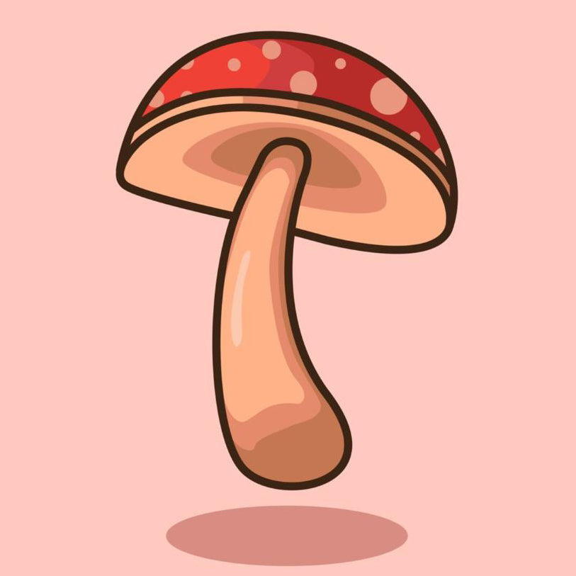 Mushroom