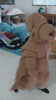 Tardigrade Costume Unique Furry